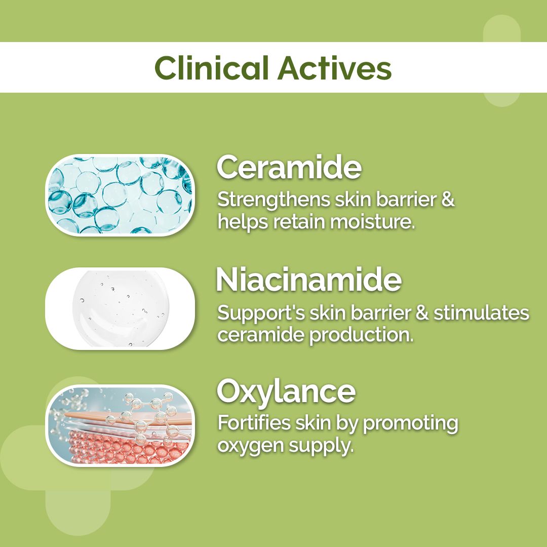 4% Ceramide Barrier Repair Moisturizer with Ceramide, Niacinamide, and Oxylance - 50 gm (Pack of 2)