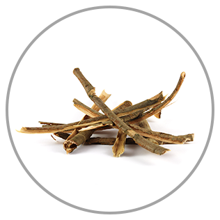 Willow Bark