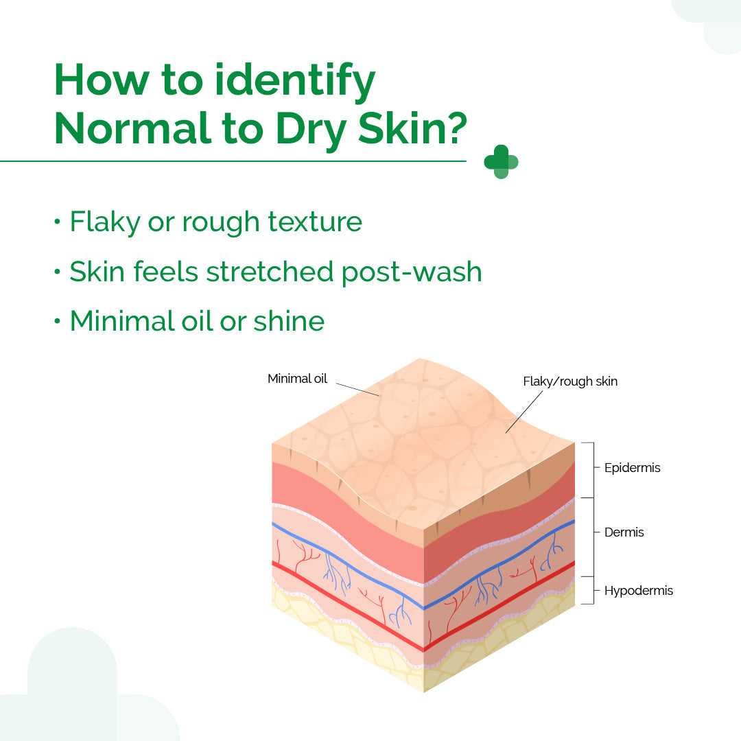 5% Nia-Ceramide Daily Hydrating Moisturizer with 5% Niacinamide & 2% Ceramide - 100g (Pack of 2)